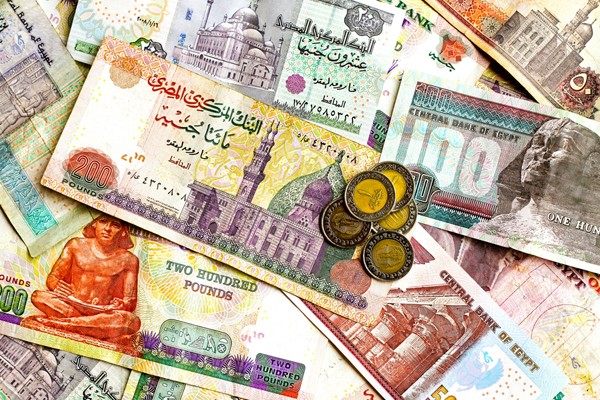Россия и Египет перейдут на расчеты в национальных валютах 