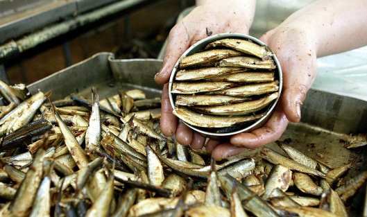 Россия запретила ввоз рыбных консервов с четырех заводов Латвии