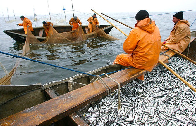 Евросоюз «катастрофически» урезал квоты для латвийских рыбаков
