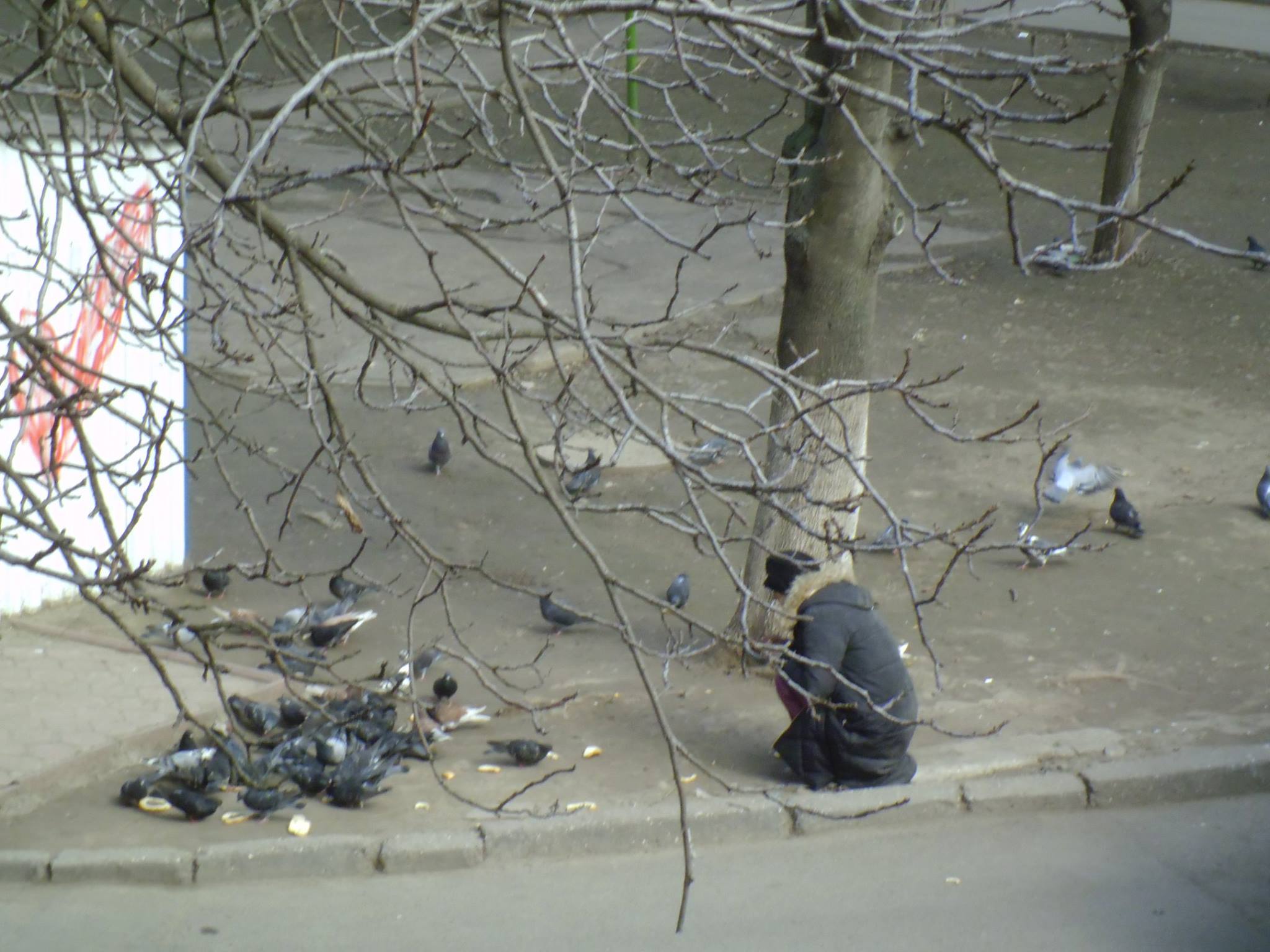«Жизнь по–новому»: голодная одесситка отбирала хлеб у голубей 