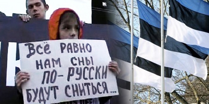 Официальный Таллин возмущён докладом Еврокомиссии о нарушениях прав русскоязычных