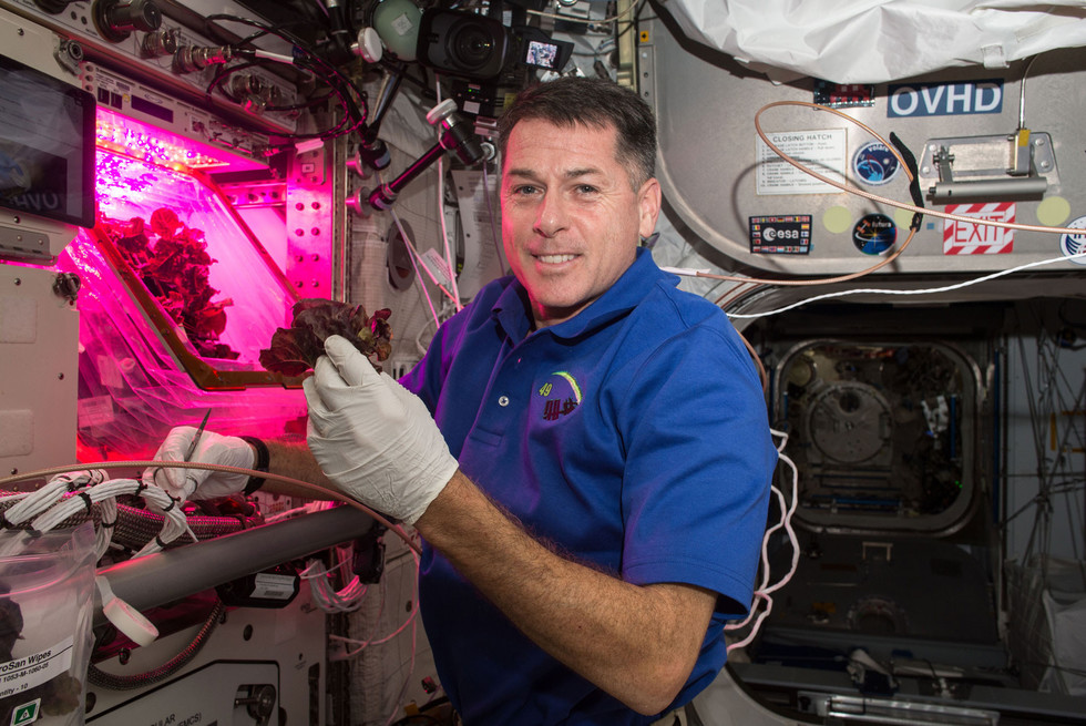 Астронавт NASA Роберт Шейн Кимбро c урожаем салата. Фото: © NASA
